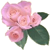 flower.gif (7337 bytes)